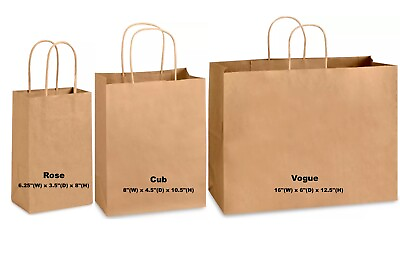 Kraft Paper Bag Party Shopping Gift Bags Retail Merchandise with Handles $9.00