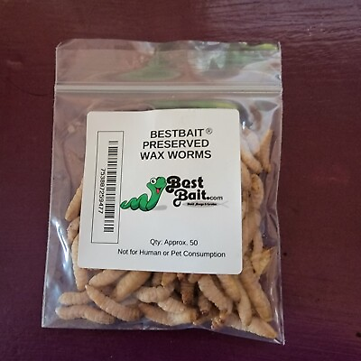 #ad Bestbait Preserved Waxworms Grubs 50 ct. per pack Natural Color wax worm $6.99