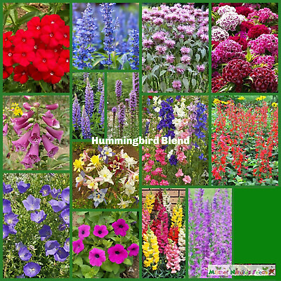 #ad #ad Wildflower Mix HUMMINGBIRD BLEND Perennials Annuals Heirloom Non GMO 1500 Seeds $4.48