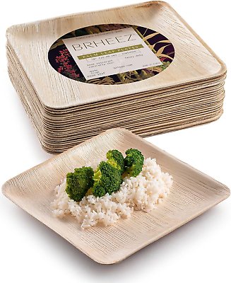 #ad Bamboo Plates made from Palm Leaf 25 Party Plates 10 Inch Eco Friendly Compostab $32.43