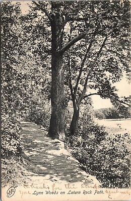 Lynn Woods On Lantern Rock Path Lynn Massachusetts MA c1906 Postcard $5.95