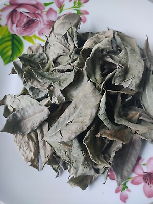 Organic Dried Gliricidia Sepium Leaves Natural Compost Fertilizer for Plant 200g $19.99