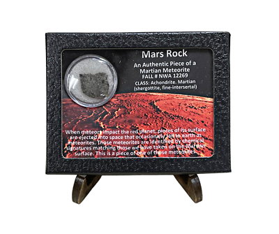 #ad Mars Rock Authentic Piece of Martian Meteorite $300.00