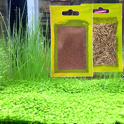 #ad Live Aquarium Plant See ds ComboFresh Water Grass Plants Mini Leaf amp; Longhair $13.51