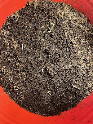 #ad 1 4 Pound Worm Castings Organic Soil Enhancement Fertilizer Free Shipping $8.50