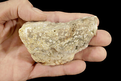 SCRIPT FOSSIL JASPER 3 1 2quot; x 2 1 2quot; 8 Oz Lapidary Rock Minerals Healing Crystal $7.99
