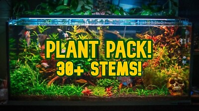 #ad 30 Pieces Live Aquarium Plants Assortment Freshwater Stem Plants $27.99