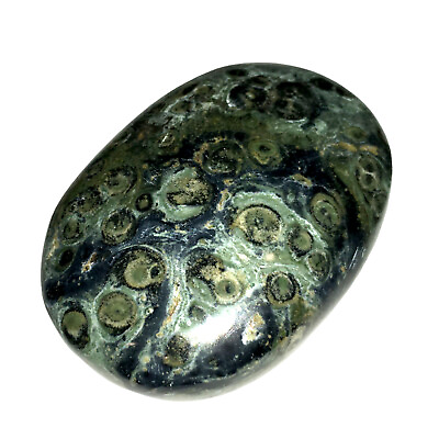 #ad XL Kambaba Jasper Palm Stone Green Rock Crystal Healing Reiki Polished Worry Sto $15.99
