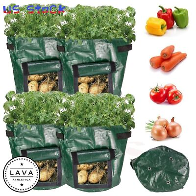 #ad 7 10 Gallon Garden Planting Pots Grow Planter Bags for Potato Carrot Onion LAVA $8.59