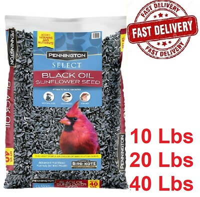 #ad Pennington Select Black Oil Sunflower Seed Wild Bird Feed 10 20 amp; 40 Lb Bag USA $25.49