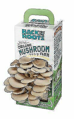 Back To The Roots Organic Mushroom Farm Grow Kit 11006 $12.99