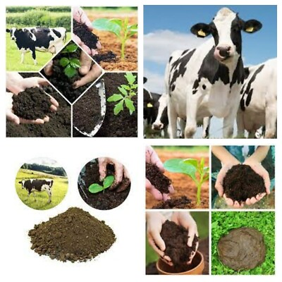#ad Dried Cow Dung Manure Organic Compost Fertilizer for Plant Growth Ceylon 1kg $139.99
