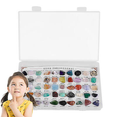 #ad Rock Collection Box For Kids Natural Rough Mineral Specimens Set for Education $12.86